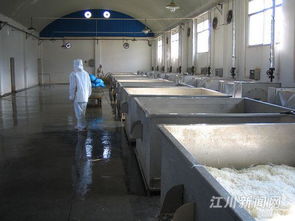 走进天丽食品加工厂 品质与安全的双重承诺